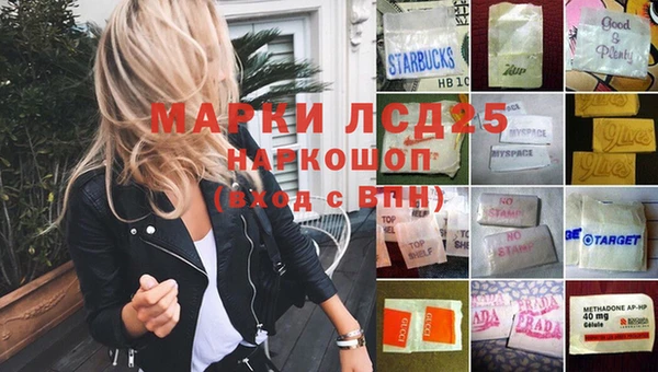 гашик Сосновка