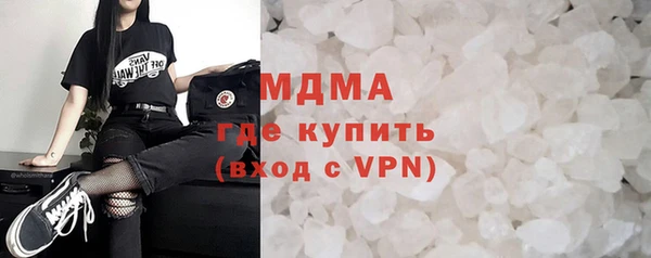 индика Сосновый Бор